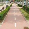 carril-100x100.jpg