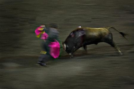 _MG_2380-4_0.jpg.crop_display.jpg