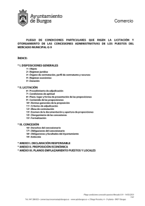 pliego_licitacion_g9.pdf