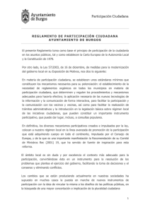 borrador-reglamento-publicacion-web.pdf