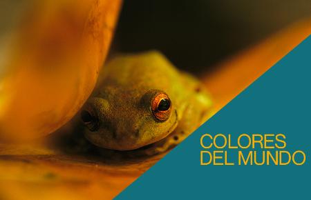 “Los Colores del Mundo” Fotografías de National Geographic