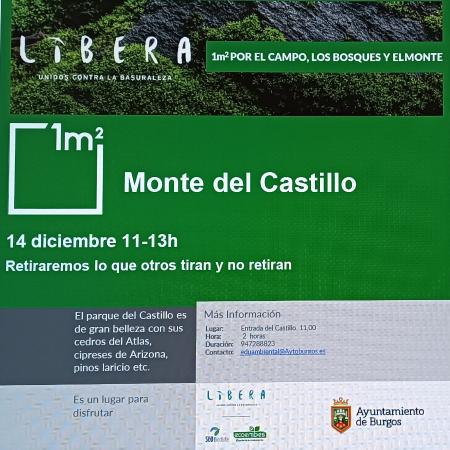 Imagen Recogida de Basuraleza en el Cerro del castillo, el domingo 14 de...