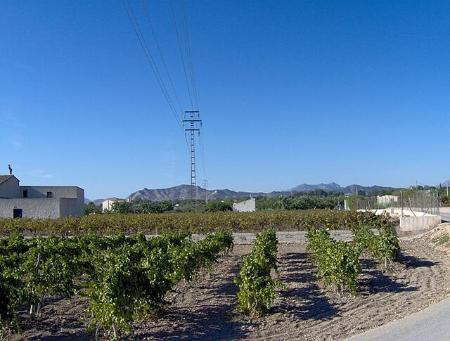 Image Convocatoria Huertos de Ocio 26-27