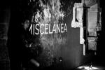 2024.12.06-20.13.55 [_R0_0254] [AureogomeZ]