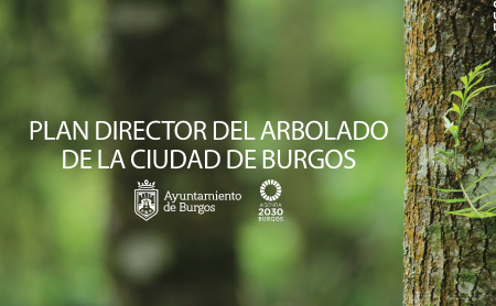 Image Plan director del arbolado de la Ciudad de Burgos