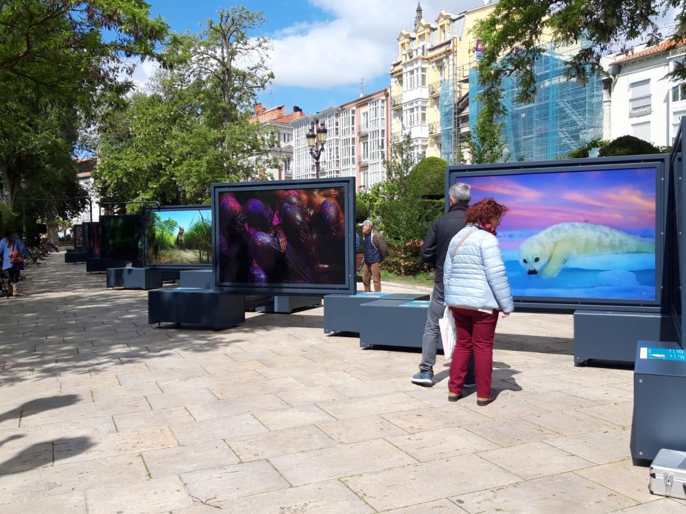 Imagen 18/05/2023 Burgos descubre el significado del color en el mundo en una exposición de fotografías de National Geographic