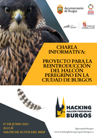 07/06/2023 Convocatoria- charla informativa  HALCÓN PEREGRINO