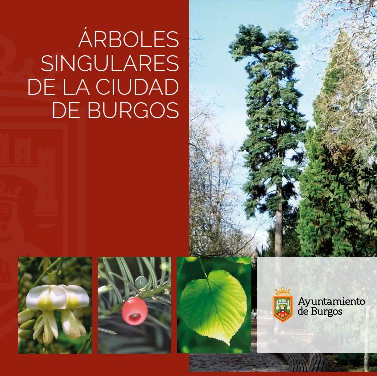 Imagen Guía de árboles singulares de la ciudad de Burgos
