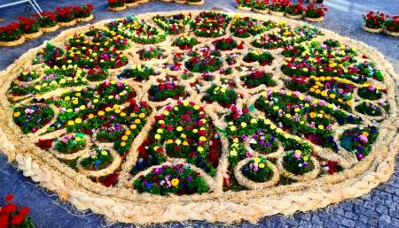 Image Fête des fleurs