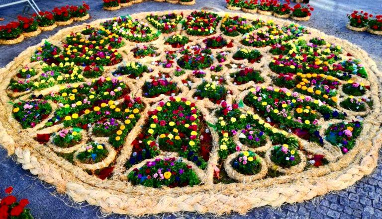 Imagen Fête des fleurs