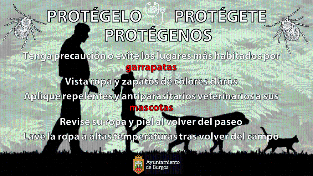 Imagen La prevención es salud.