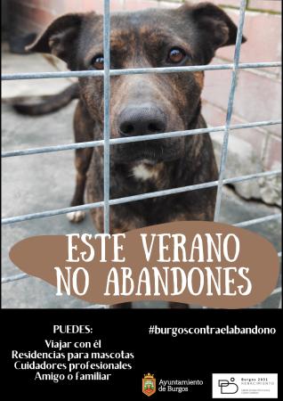 Image ESTE VERANO, NO ABANDONES ANIMALES