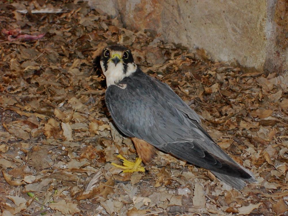 Imagen Centro de Biodiversidad