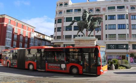 Image AUTOBUSES CURPILLOS